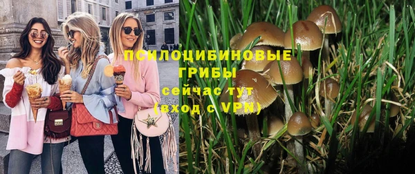 СК Инсар