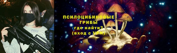 шишки Иннополис
