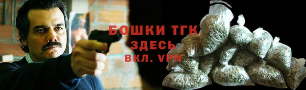 шишки Иннополис
