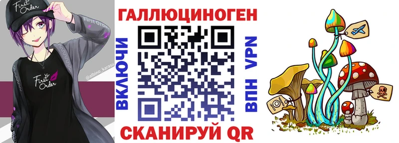 Галлюциногенные грибы Psilocybe  Купить закладки  Балей 